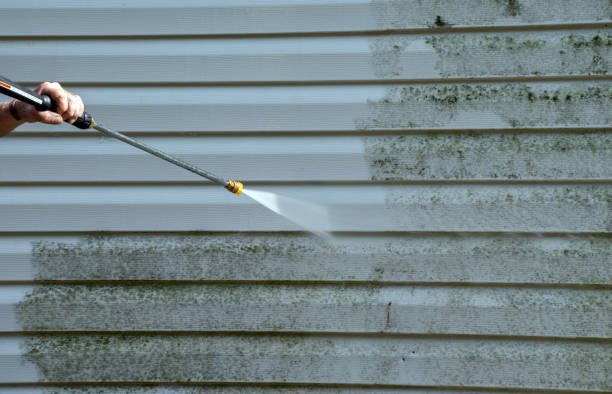 Best Patio and Deck Pressure Washing  in Eldorado, IL